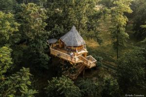 an overhead view of a tree house in the forest at La Batelière sur Loire in La Chapelle-aux-Naux