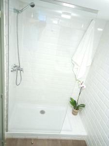 La salle de bains est pourvue d'une douche avec une fleur en pot. dans l'établissement Casita de Invitados con entrada privada, piscina y aire acondicionado, à Valdemorillo