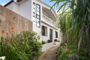 une maison blanche avec des plantes devant elle dans l'établissement Casa Do Lenhador, à Canhas