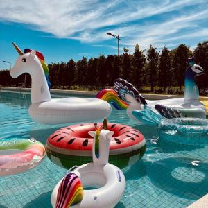 a swimming pool with inflatable animals in the water at 蜜滋賀溫泉飯店 in Ruisui