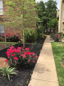 a garden with pink flowers next to a sidewalk at I14 - DFW Condo Near Baylor 2BD/1BA in Irving