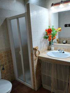 a bathroom with a sink and a toilet and a mirror at Casa Rural Josefina 1 y 2 in Navaconcejo