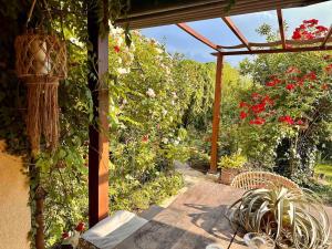 un patio con pérgola y algunas plantas y flores en Luxueuse oasis écologique à proximité du lac, en Preverenges