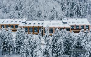 a building covered in snow with snow covered trees at ski-in/ski-out apartment in Bakuriani in Bakuriani
