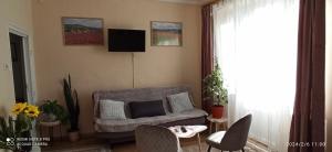 salon z kanapą i telewizorem w obiekcie Karancs Apartman Salgótarján w mieście Salgótarján