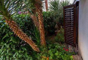 Giardino di Guest House Marija