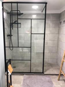 a shower with a glass door in a bathroom at Quinta das Caçadoras - Animal lovers only in Palmela