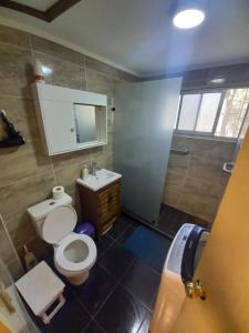 um banheiro com vaso sanitário, pia e chuveiro em Beolmuelodge em Olmué