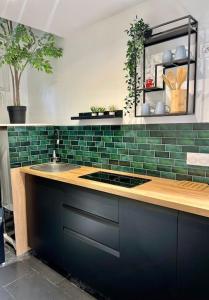 布里地區敘西的住宿－Maison Privative face au lac，厨房设有水槽和绿色瓷砖墙