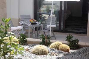 a patio with two chairs and a table and cactus at Residenza RoMa in Tropea