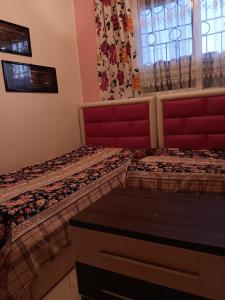 Shtepi - Image 8