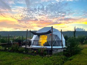 a tent in a field with a sunset in the background at Port Wade Glamping Domes in Victoria Beach 