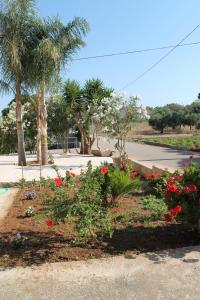 トッレ・スーダにあるCasa Vacanze Danielaの通りの脇の赤い花の庭園