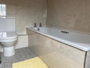 a bathroom with a white tub and a toilet at Monarchs View Farmstay in Michelmersh