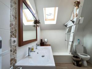 ein Badezimmer mit einem Waschbecken, einem WC und einem Spiegel in der Unterkunft La maison de FanloU in Cauterets