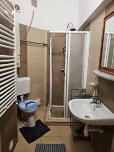 a bathroom with a shower and a sink and a toilet at DanubeScree cozy Apartment in Budapest