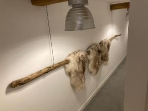 Fotografie z fotogalerie ubytování Hoeve de Snippert v destinaci Groenlo