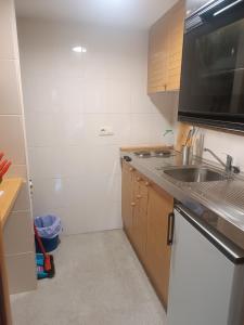 eine kleine Küche mit einer Spüle und einer Mikrowelle in der Unterkunft Apartamento a pie de pistas Port del Comte in La Coma i la Pedra