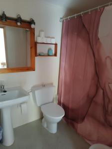 a bathroom with a toilet and a sink at Apartamento a pie de pistas Port del Comte in La Coma i la Pedra