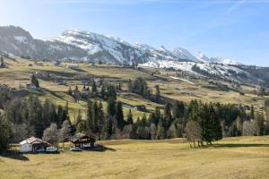 un gran campo con una montaña en el fondo en Gemütliche Ferienwohnung direkt an der Skipiste, en Wildhaus
