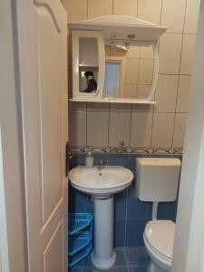 a bathroom with a sink and a toilet and a mirror at Kjara Apartments in Tivat