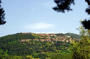 Φωτογραφία από το άλμπουμ του Meublés de Tourisme Casa Erbaggio σε Sartene