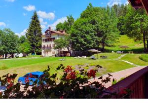 a large house with a yard with a building at Hotel Orso Grigio in Pescul