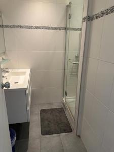 a bathroom with a shower and a sink at Avenue Foch in Paris