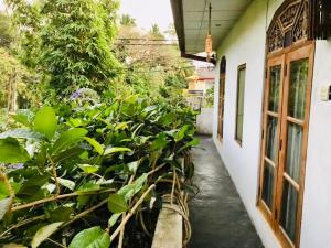 Un pasillo de una casa con un montón de plantas en Malsha Villa, en Weligama