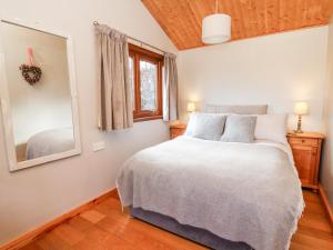 a bedroom with a bed and a mirror at Y Caban Glas in Llandysul