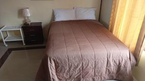 een slaapkamer met een bed en een nachtkastje met een lamp bij HOTELERIA CASA MAYA in Riobamba
