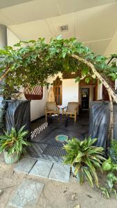 a patio with an arbor with potted plants at Hakuna Matata Arugambay in Arugam Bay