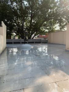 a patio with a tree and a fountain in the middle at Hostal YOA Suite 101 in Mexico City