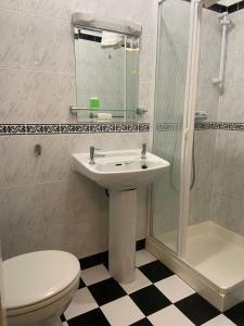 ein Bad mit einem Waschbecken, einem WC und einer Dusche in der Unterkunft Parliament Inn in Kilkenny