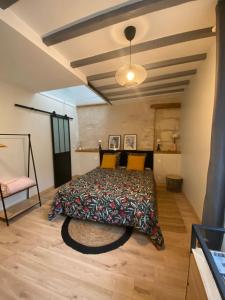 1 dormitorio con 1 cama en una habitación en Suite Luzilloise, en Luzillé