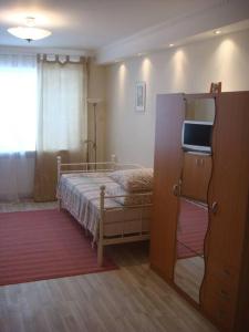 - une chambre avec un lit et une télévision sur une armoire dans l'établissement Cozy studio apartment, à Tallinn