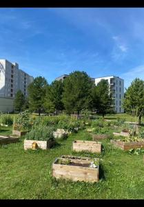 un jardin avec des châssis en bois dans la pelouse dans l'établissement Cozy studio apartment, à Tallinn