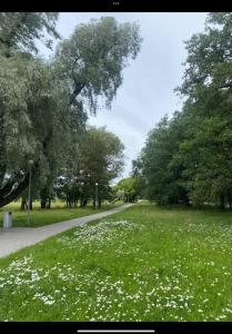un champ d'herbe verte avec des fleurs et des arbres blancs dans l'établissement Cozy studio apartment, à Tallinn