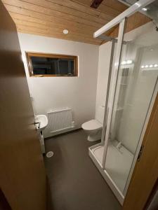 La salle de bains est pourvue d'une douche en verre et de toilettes. dans l'établissement Lakeview cabin near Kirkjubaejarklaustur, à Kirkjubæjarklaustur