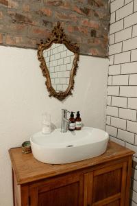 ein Waschbecken mit einem Spiegel auf der Theke in der Unterkunft Hartland Huis in Graaff-Reinet
