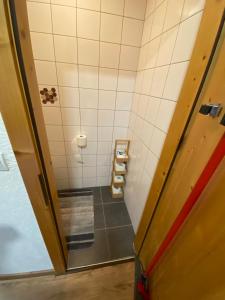 a bathroom with a shower with a toilet in it at Bergblick in Edlbach