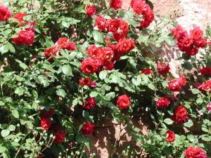 Un jardín fuera de Chambres d'Hôtes La Roumec