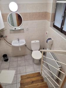 a bathroom with a toilet and a sink and a mirror at Penzion Klopacka in Špania Dolina