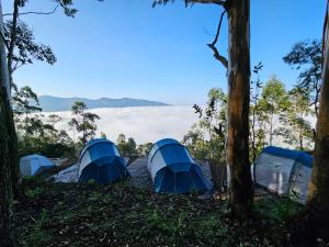 a group of tents in the forest with a view at Cloud Camping. in Munnar