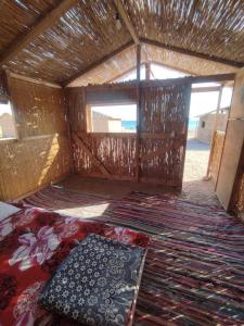 an inside view of a small room with a rug at Makany Makanak Camp in Dahab