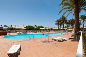 a large swimming pool with palm trees and people in it at Bungalow Melocotones Maspalomas Golf in Maspalomas