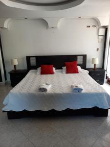 1 dormitorio con 1 cama grande con almohadas rojas en HOTEL LONDRES PLAZA, en Pitalito