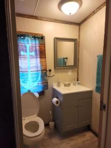 a bathroom with a toilet and a sink and a mirror at The Holler Inn at Dale Hollow in Frogue