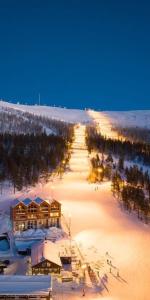 une vue aérienne d'une plage avec un complexe hôtelier dans l'établissement Unikt boende, bästa läge, ski-in/ski-out Björnrike, à Vemdalen