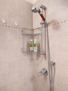 La salle de bains est pourvue d'une douche et de 2 bouteilles de shampoing. dans l'établissement Residence Salvadori, à Rovereto